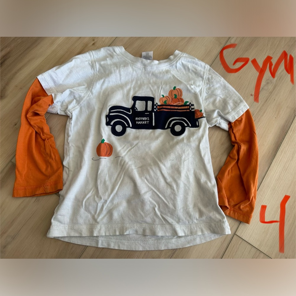 Gymboree Fall Pumpkin Embroidered long sleeve shirt